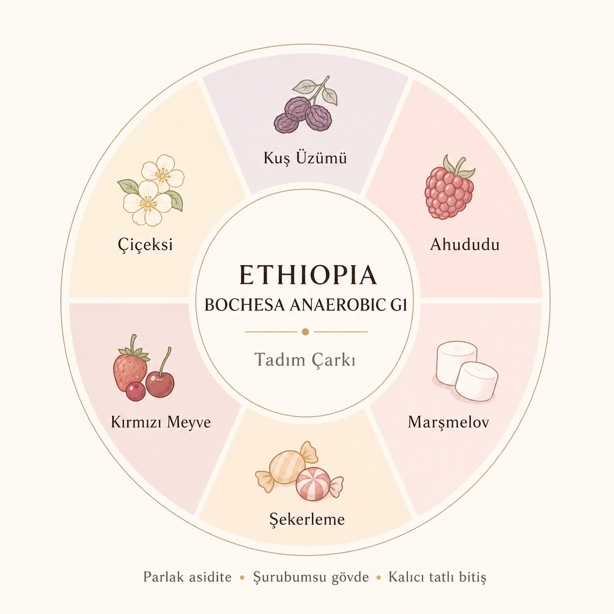 Ethiopia Bochesa Anaerobic G1 Çekirdek Kahve 250 G