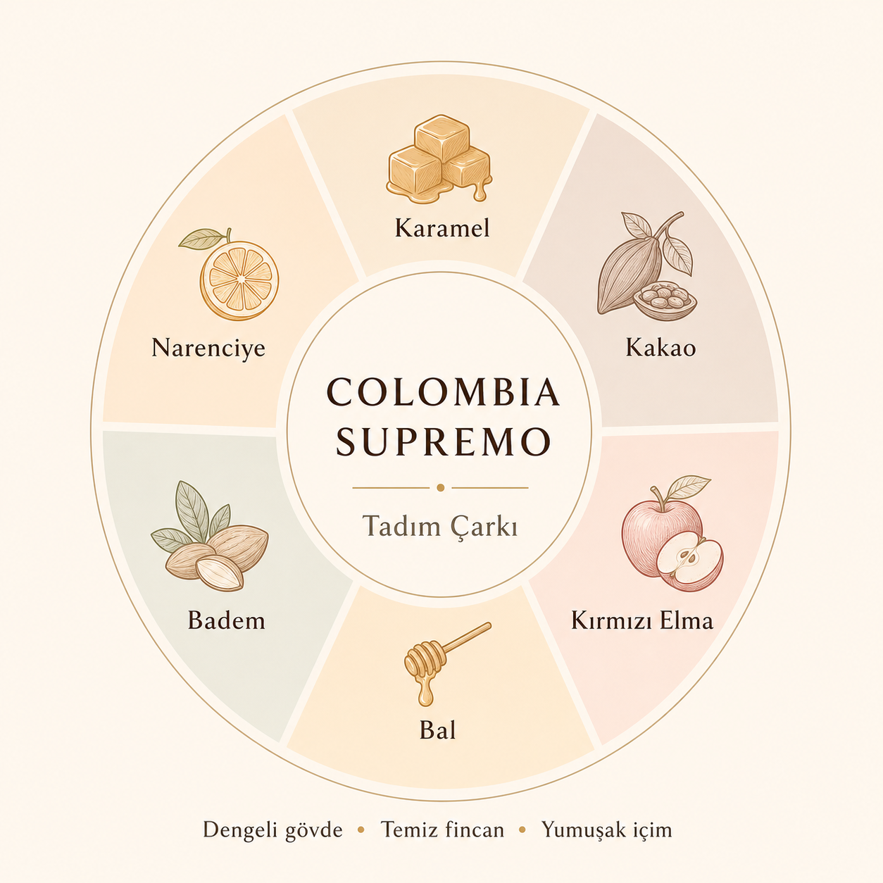 Colombia Medellin Supremo Çekirdek Kahve 250 G